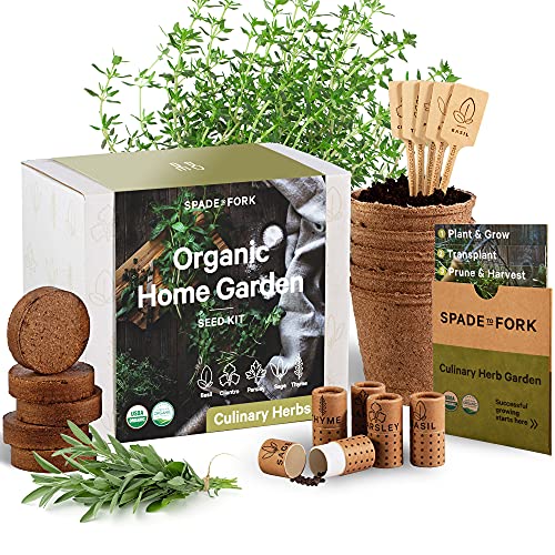 Indoor Herb Garden Starter Kit - Certified USDA Organic Non GMO - 5 Herb Seed Basil, Cilantro, Parsley, Sage, Thyme, Potting Soil, Peat Pots - DIY Kitchen Grow Kit for Growing Herb Seeds Indoors